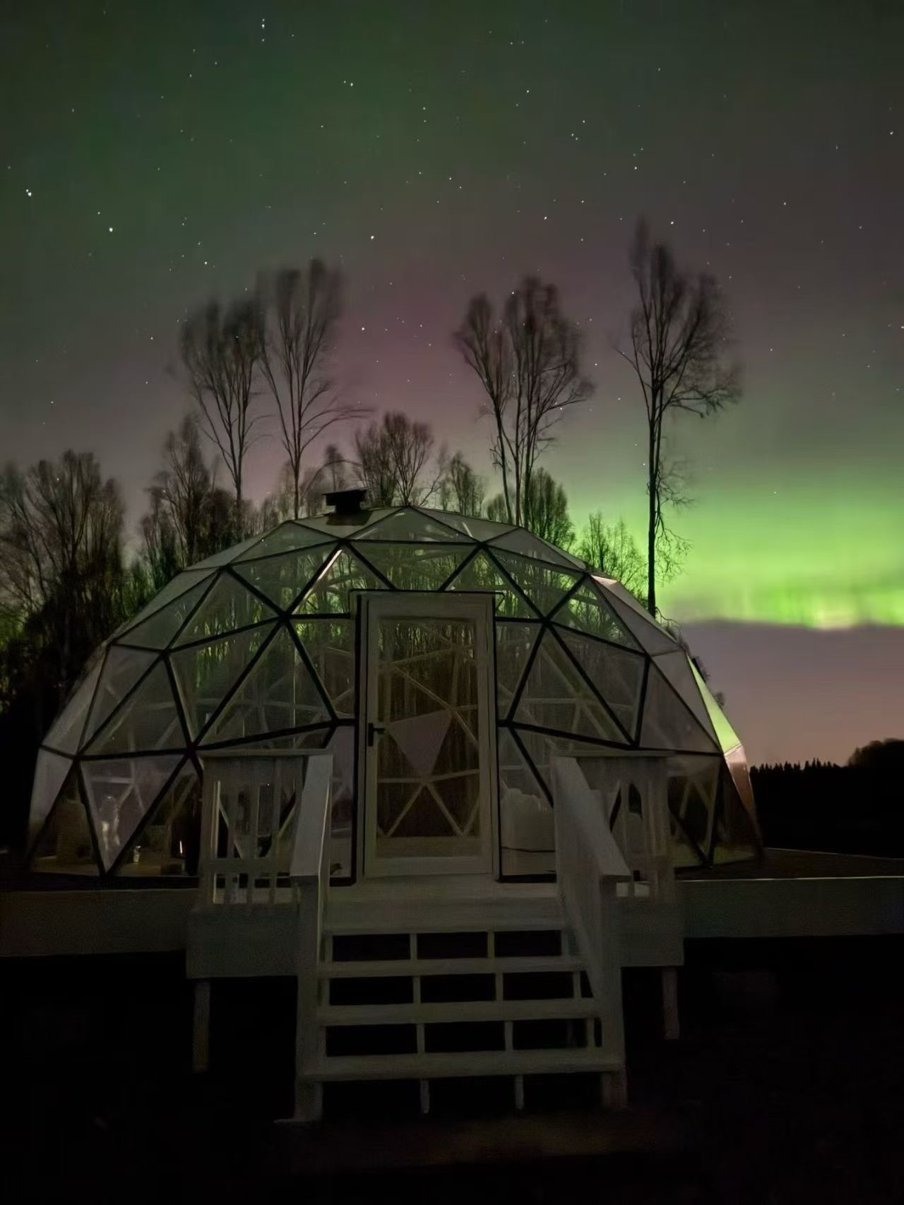Glass Dome Tent for Camping Glimpsing Resorts